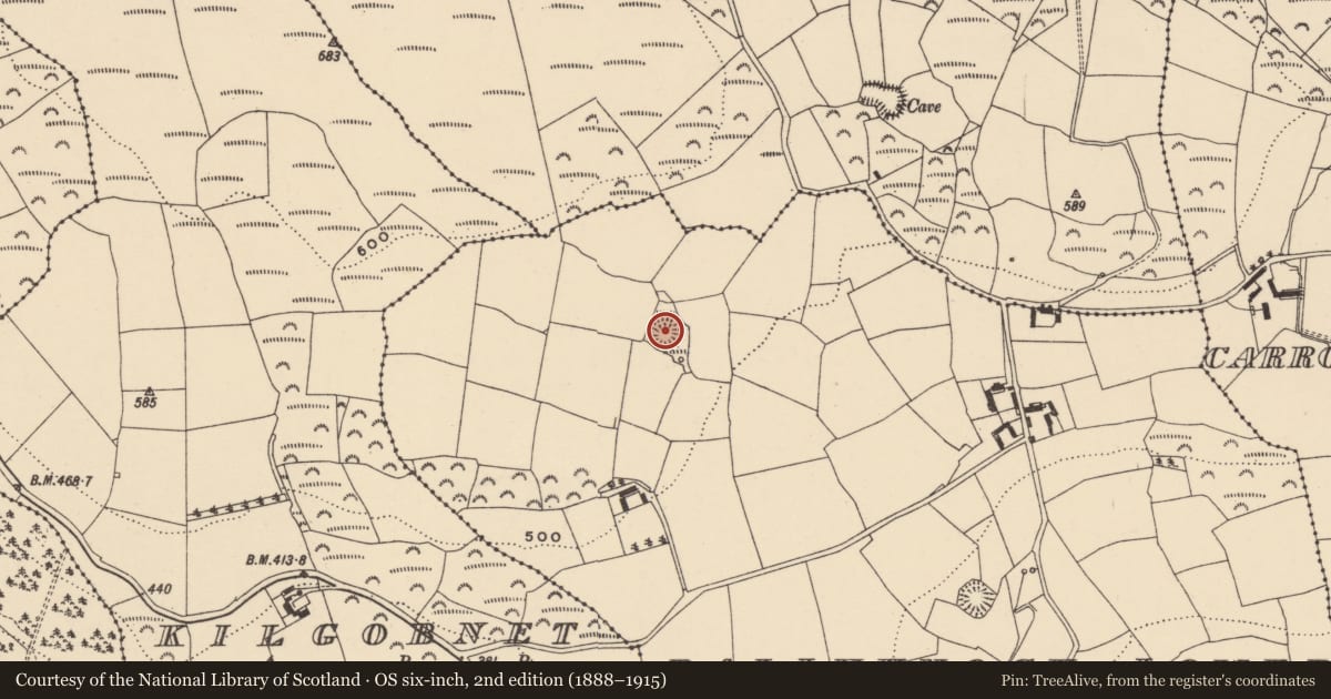 Ordnance Survey six-inch map, 2nd edition (1888–1915) covering the location of Ringfort - rath, Ballyknock Lower, County Waterford, with a pin at the register's coordinates