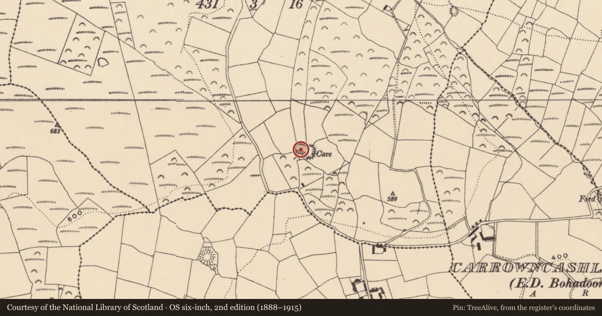 Ordnance Survey six-inch map, 2nd edition (1888–1915) covering the location of Ringfort - rath, Ballyknock Upper, County Waterford, with a pin at the register's coordinates