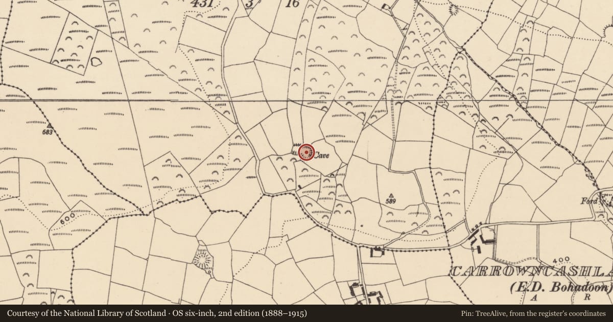 Ordnance Survey six-inch map, 2nd edition (1888–1915) covering the location of Ringfort - rath, Ballyknock Upper, County Waterford, with a pin at the register's coordinates