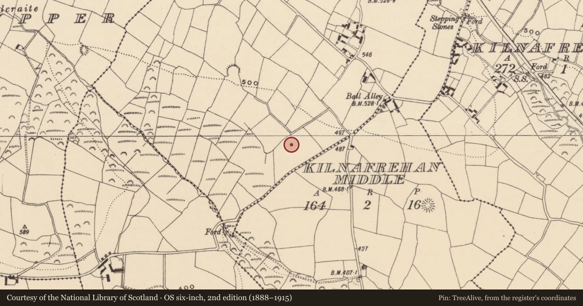 Ordnance Survey six-inch map, 2nd edition (1888–1915) covering the location of Ringfort - unclassified, Kilnafrehan West, County Waterford, with a pin at the register's coordinates