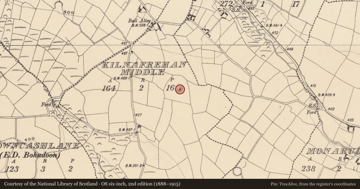 Ordnance Survey six-inch map, 2nd edition (1888–1915) covering the location of Ringfort - rath, Kilnafrehan Middle, County Waterford, with a pin at the register's coordinates