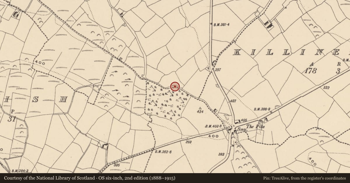 Ordnance Survey six-inch map, 2nd edition (1888–1915) covering the location of Earthwork, Garranbaun, Killineen West, County Waterford, with a pin at the register's coordinates