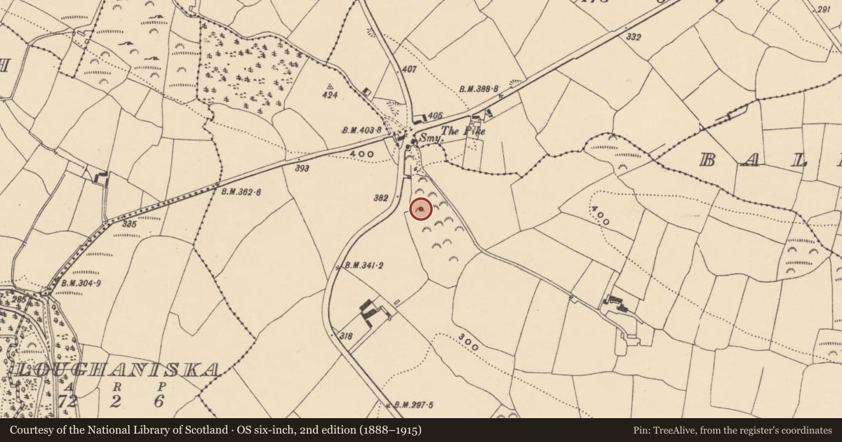 Ordnance Survey six-inch map, 2nd edition (1888–1915) covering the location of Burnt mound, Garranbaun, County Waterford, with a pin at the register's coordinates