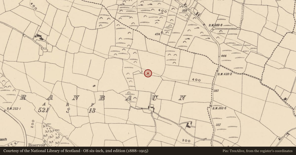 Ordnance Survey six-inch map, 2nd edition (1888–1915) covering the location of Ringfort - unclassified, Garranbaun, County Waterford, with a pin at the register's coordinates