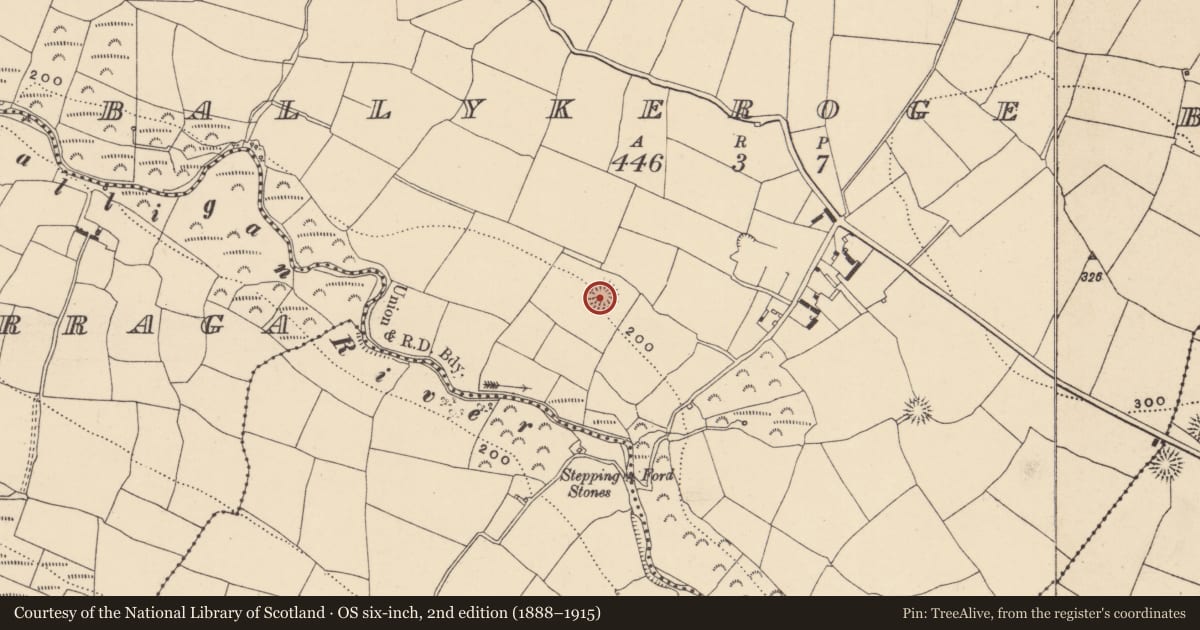 Ordnance Survey six-inch map, 2nd edition (1888–1915) covering the location of Ringfort - rath, Ballykeroge Big, County Waterford, with a pin at the register's coordinates