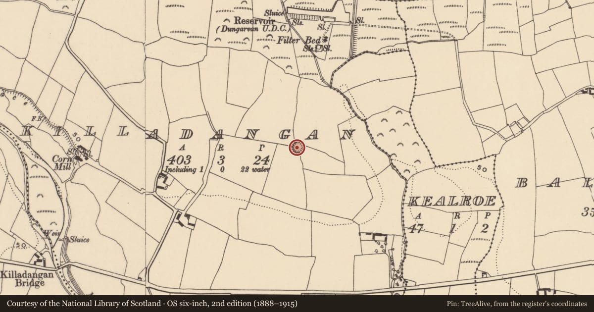 Ordnance Survey six-inch map, 2nd edition (1888–1915) covering the location of Ringfort - unclassified, Killadangan, County Waterford, with a pin at the register's coordinates