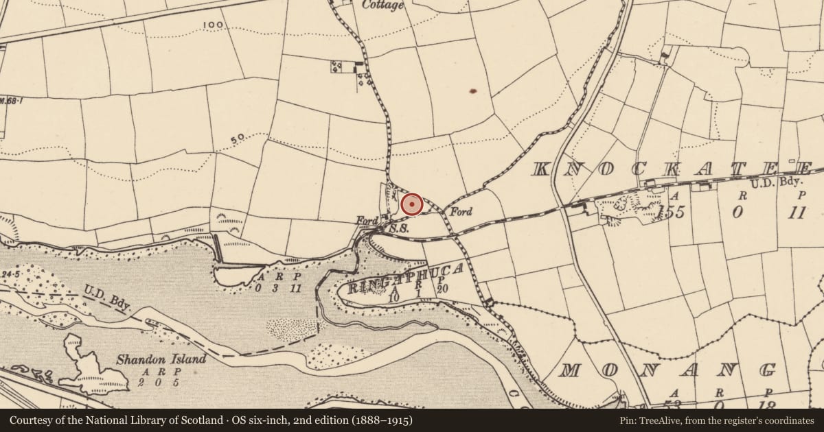 Ordnance Survey six-inch map, 2nd edition (1888–1915) covering the location of Burial ground, Ballyneety, County Waterford, with a pin at the register's coordinates
