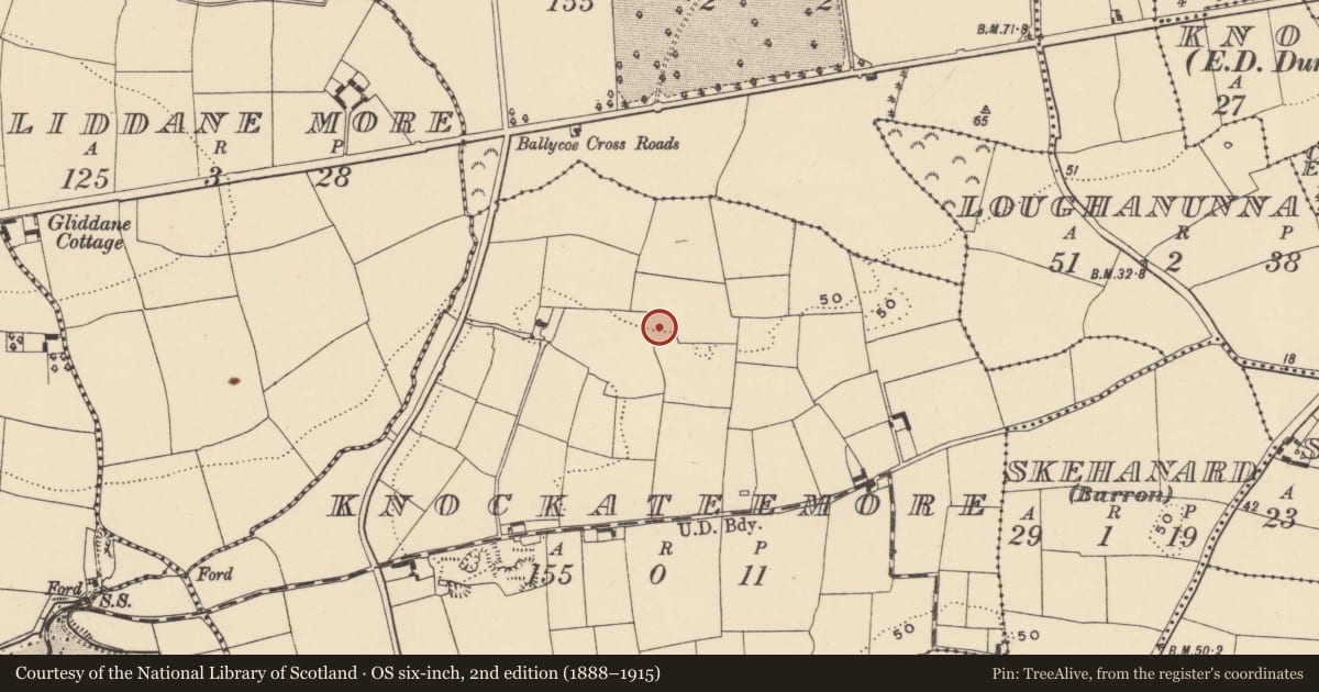 Ordnance Survey six-inch map, 2nd edition (1888–1915) covering the location of Ringfort - unclassified, Knockateemore, County Waterford, with a pin at the register's coordinates