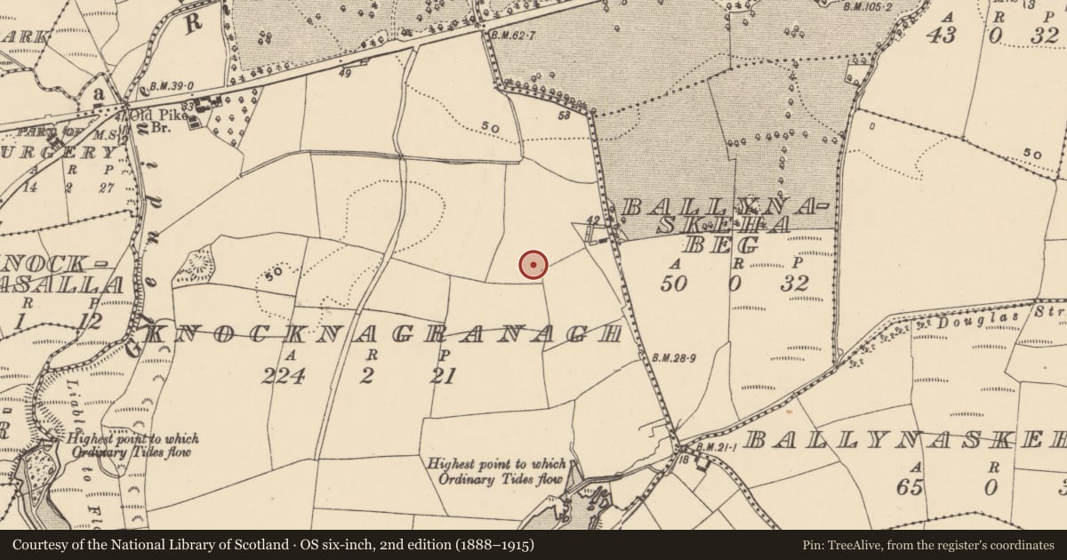 Ordnance Survey six-inch map, 2nd edition (1888–1915) covering the location of Ringfort - unclassified, Knocknagranagh, County Waterford, with a pin at the register's coordinates