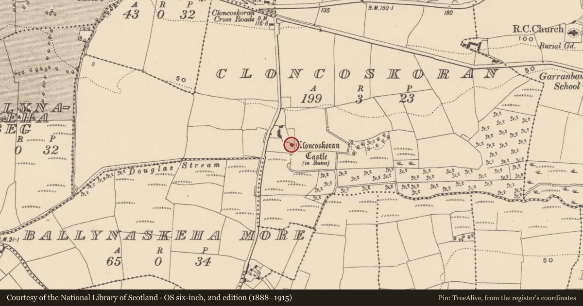 Ordnance Survey six-inch map, 2nd edition (1888–1915) covering the location of Castle - tower house, Cloncoskoran, County Waterford, with a pin at the register's coordinates