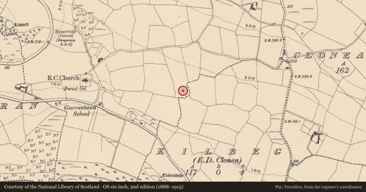 Ordnance Survey six-inch map, 2nd edition (1888–1915) covering the location of Ringfort - rath, Garranbaun, County Waterford, with a pin at the register's coordinates
