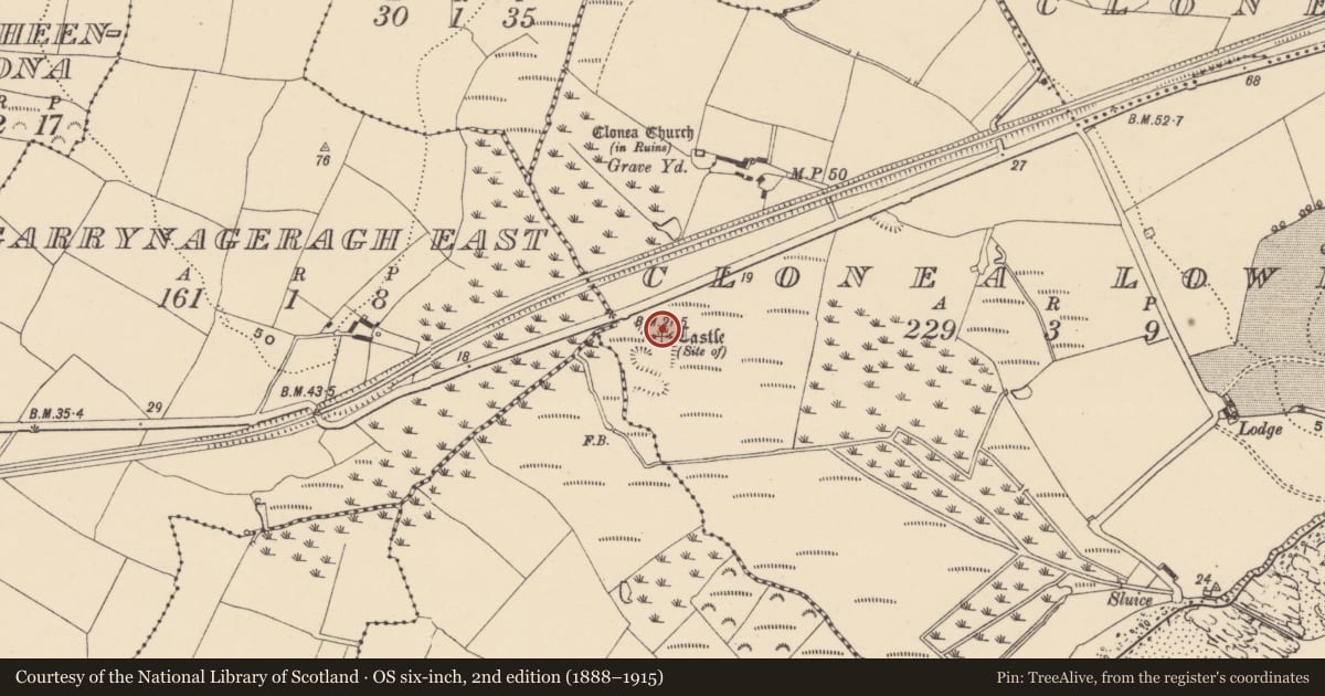 Ordnance Survey six-inch map, 2nd edition (1888–1915) covering the location of Castle - unclassified, Clonea Lower, County Waterford, with a pin at the register's coordinates