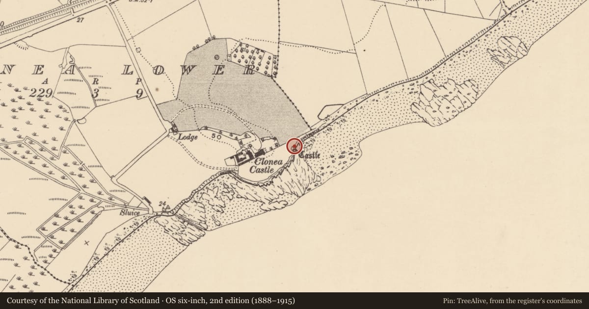 Ordnance Survey six-inch map, 2nd edition (1888–1915) covering the location of Structure, Clonea Lower, County Waterford, with a pin at the register's coordinates