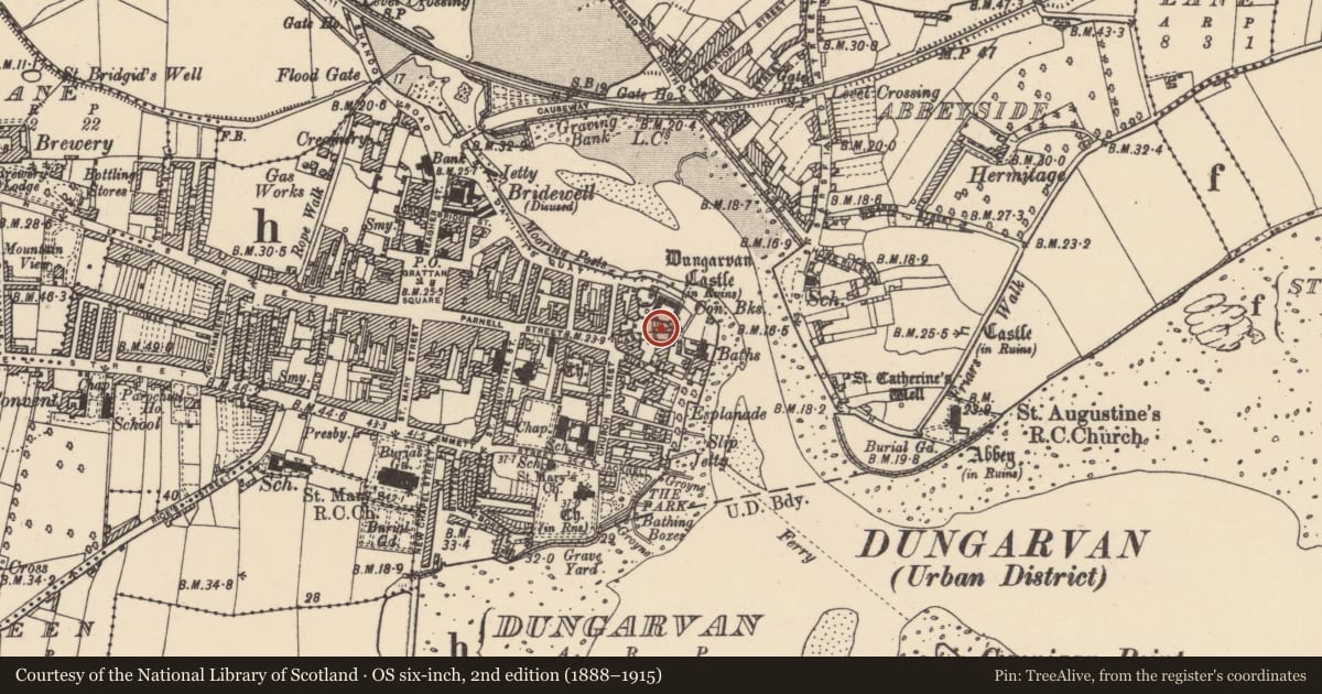 Ordnance Survey six-inch map, 2nd edition (1888–1915) covering the location of Historic town, Abbeyside, Dungarvan, County Waterford, with a pin at the register's coordinates