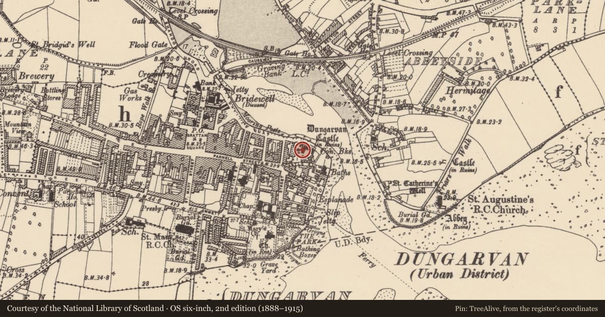 Ordnance Survey six-inch map, 2nd edition (1888–1915) covering the location of Castle - Anglo-Norman masonry castle, Dungarvan, County Waterford, with a pin at the register's coordinates