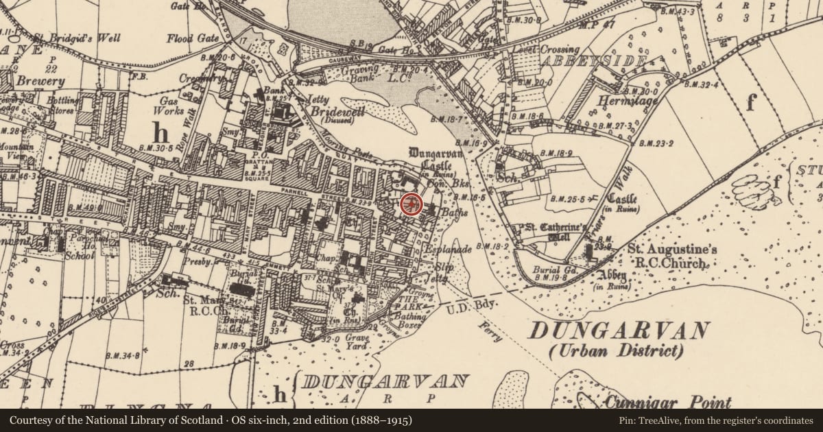 Ordnance Survey six-inch map, 2nd edition (1888–1915) covering the location of House - medieval, Dungarvan, County Waterford, with a pin at the register's coordinates