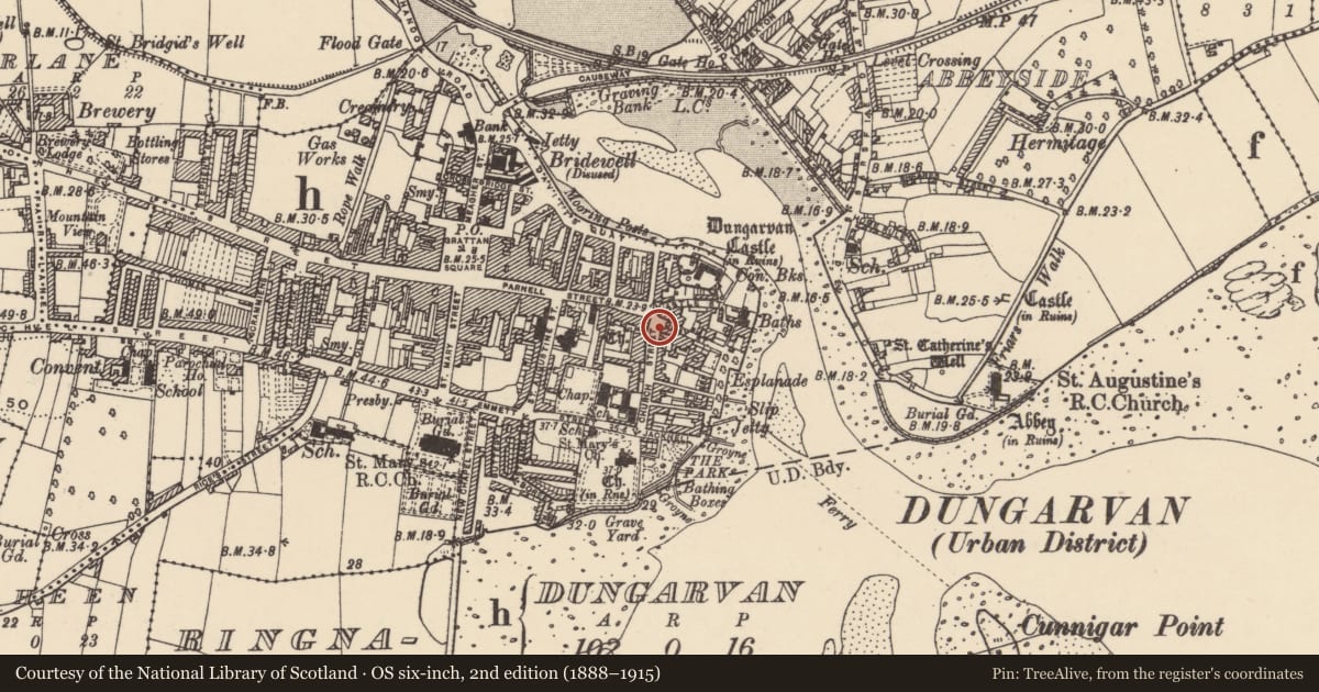 Ordnance Survey six-inch map, 2nd edition (1888–1915) covering the location of House - medieval, Dungarvan, County Waterford, with a pin at the register's coordinates