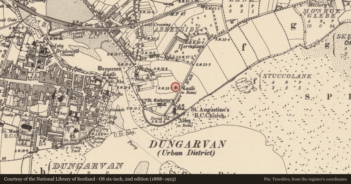 Ordnance Survey six-inch map, 2nd edition (1888–1915) covering the location of Castle - tower house, Abbeyside, County Waterford, with a pin at the register's coordinates