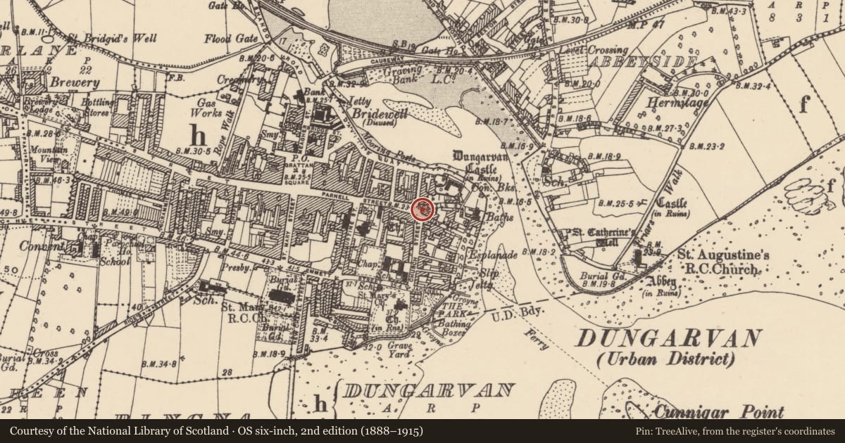 Ordnance Survey six-inch map, 2nd edition (1888–1915) covering the location of Market-house, Dungarvan, County Waterford, with a pin at the register's coordinates