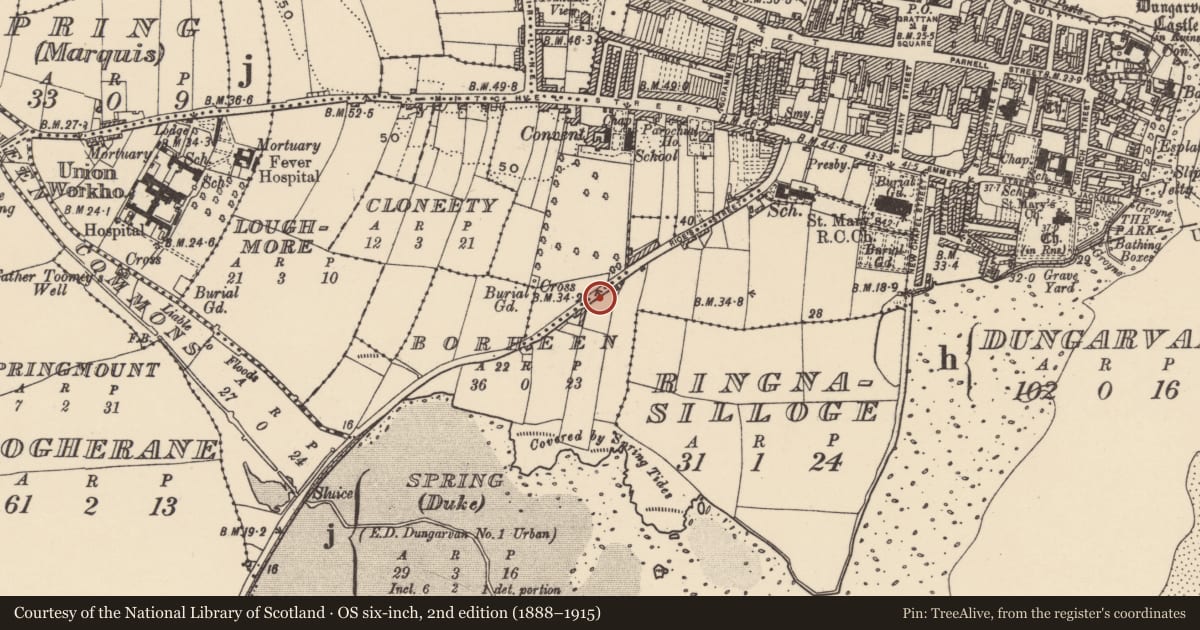 Ordnance Survey six-inch map, 2nd edition (1888–1915) covering the location of Souterrain, Dungarvan, County Waterford, with a pin at the register's coordinates