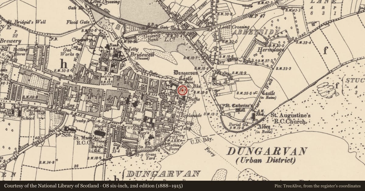 Ordnance Survey six-inch map, 2nd edition (1888–1915) covering the location of Building, Dungarvan, County Waterford, with a pin at the register's coordinates