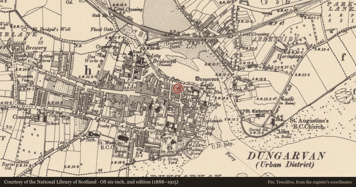 Ordnance Survey six-inch map, 2nd edition (1888–1915) covering the location of Excavation - miscellaneous, Dungarvan, County Waterford, with a pin at the register's coordinates