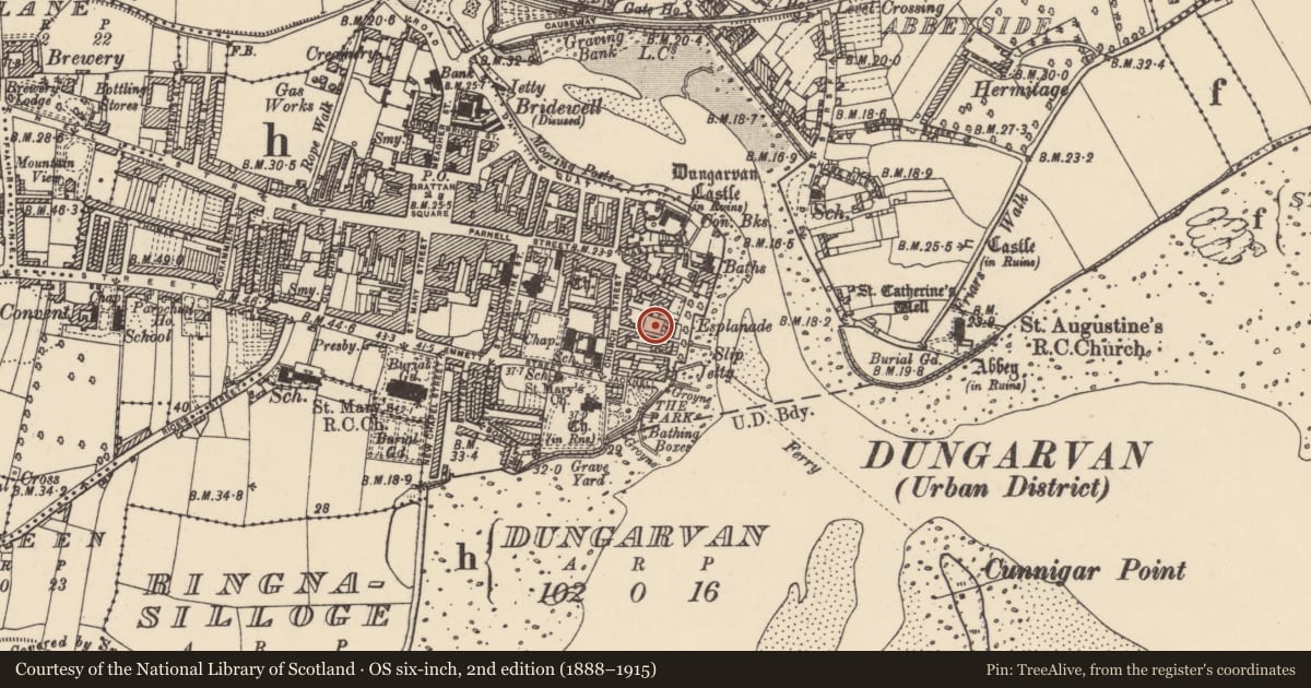 Ordnance Survey six-inch map, 2nd edition (1888–1915) covering the location of Structure, Dungarvan, County Waterford, with a pin at the register's coordinates