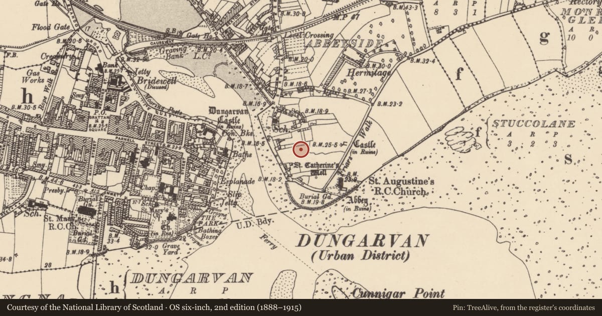 Ordnance Survey six-inch map, 2nd edition (1888–1915) covering the location of Excavation - miscellaneous, Abbeyside, County Waterford, with a pin at the register's coordinates