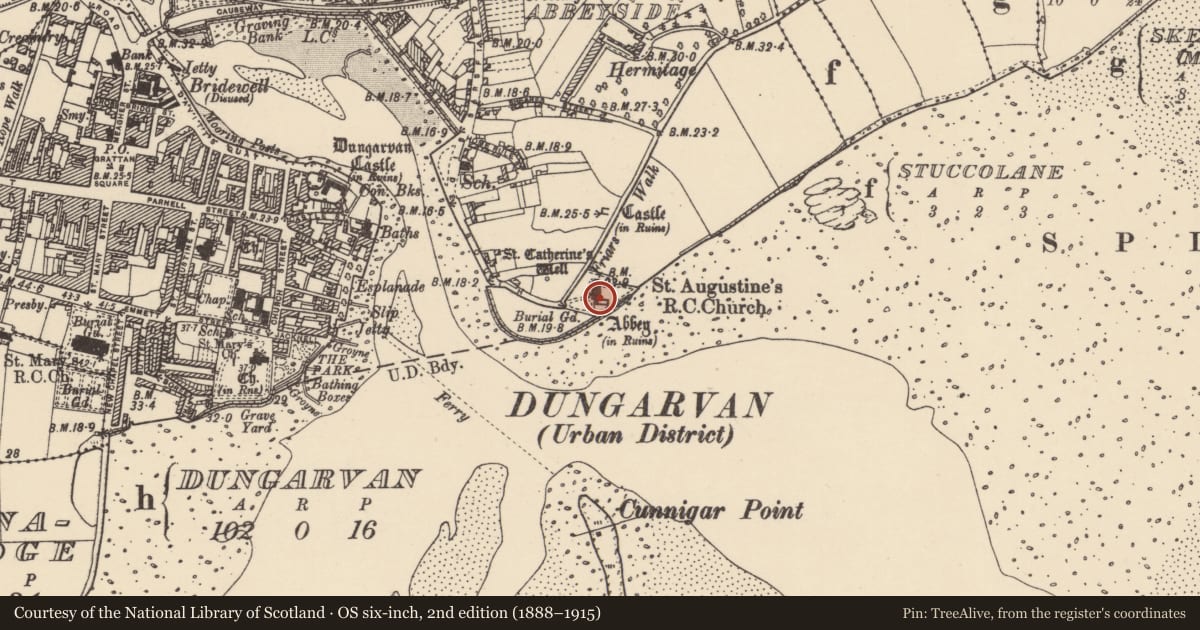 Ordnance Survey six-inch map, 2nd edition (1888–1915) covering the location of Graveslab, Abbeyside, County Waterford, with a pin at the register's coordinates