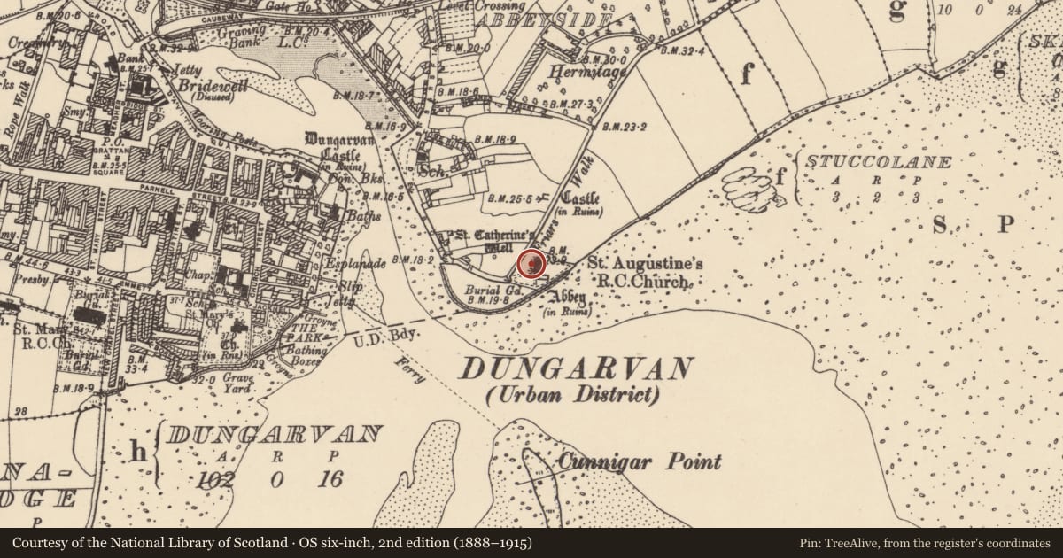 Ordnance Survey six-inch map, 2nd edition (1888–1915) covering the location of Armorial plaque, Abbeyside, County Waterford, with a pin at the register's coordinates