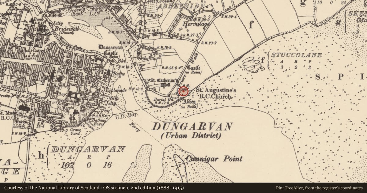 Ordnance Survey six-inch map, 2nd edition (1888–1915) covering the location of Graveyard, Abbeyside, County Waterford, with a pin at the register's coordinates
