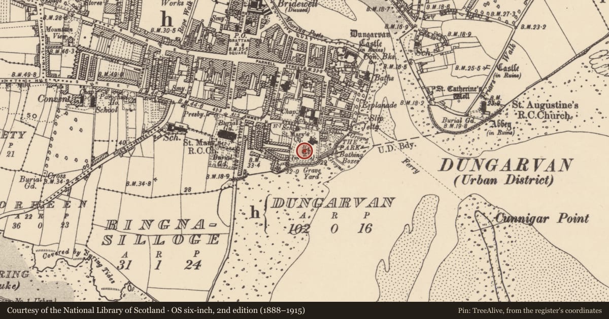Ordnance Survey six-inch map, 2nd edition (1888–1915) covering the location of Graveyard, Dungarvan, County Waterford, with a pin at the register's coordinates
