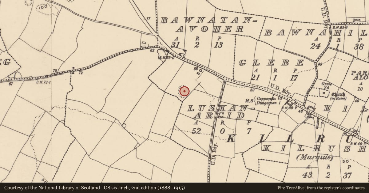 Ordnance Survey six-inch map, 2nd edition (1888–1915) covering the location of Ringfort - rath, Luskanargid, County Waterford, with a pin at the register's coordinates