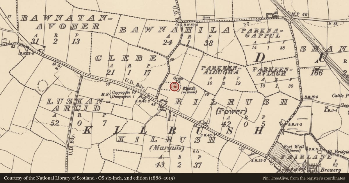 Ordnance Survey six-inch map, 2nd edition (1888–1915) covering the location of Church, Glebe, County Waterford, with a pin at the register's coordinates
