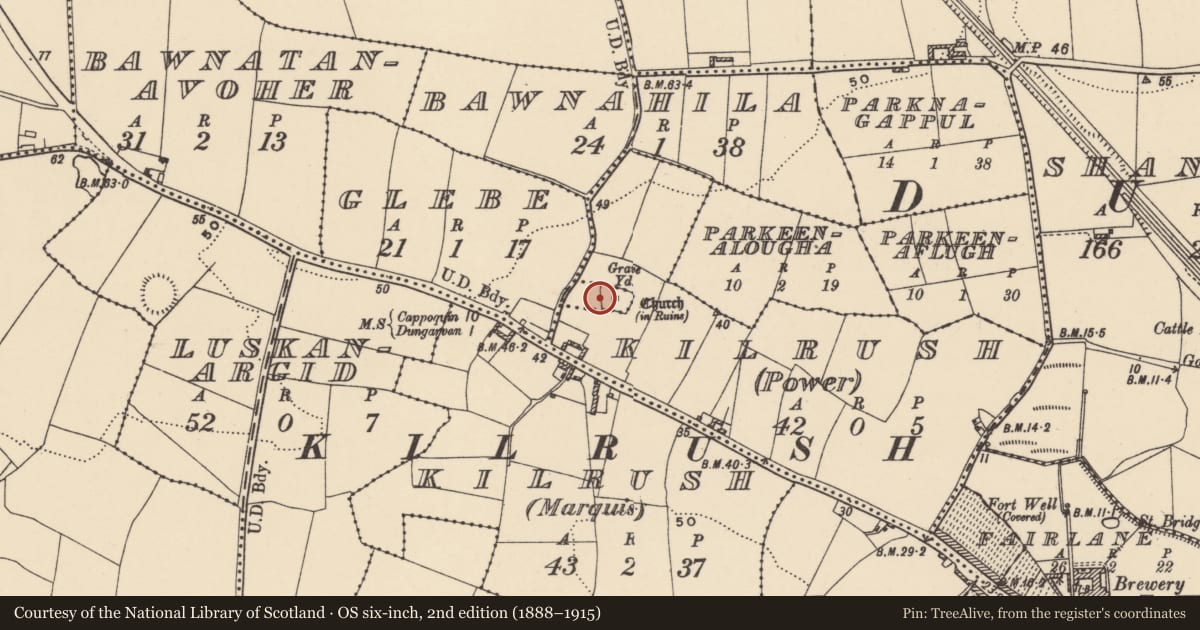 Ordnance Survey six-inch map, 2nd edition (1888–1915) covering the location of Sarcophagus, Glebe, County Waterford, with a pin at the register's coordinates
