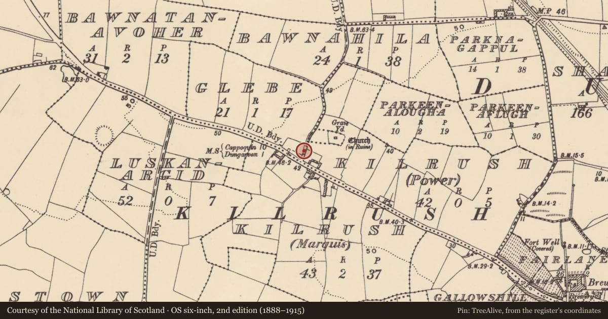 Ordnance Survey six-inch map, 2nd edition (1888–1915) covering the location of Bullaun stone, Kilrush (Power), County Waterford, with a pin at the register's coordinates