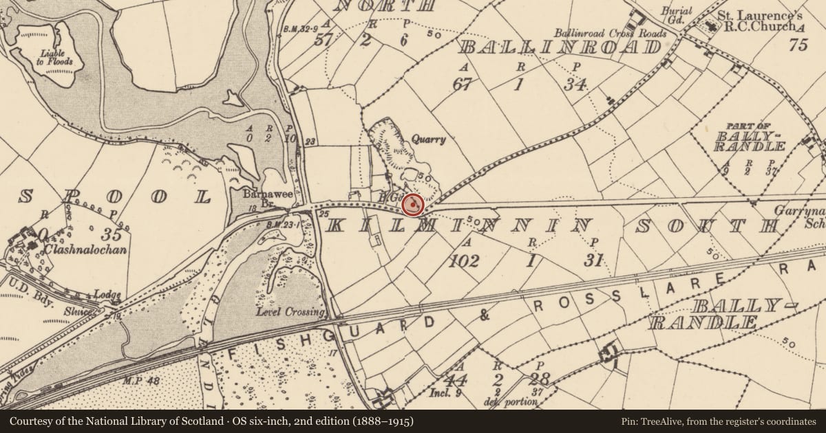 Ordnance Survey six-inch map, 2nd edition (1888–1915) covering the location of Burial ground, Kilminnin North, County Waterford, with a pin at the register's coordinates