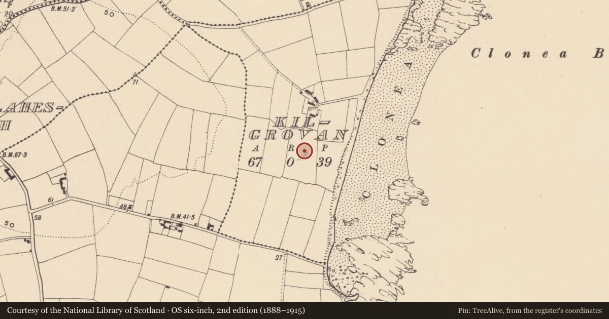 Ordnance Survey six-inch map, 2nd edition (1888–1915) covering the location of Ogham stone, Kilgrovan, County Waterford, with a pin at the register's coordinates