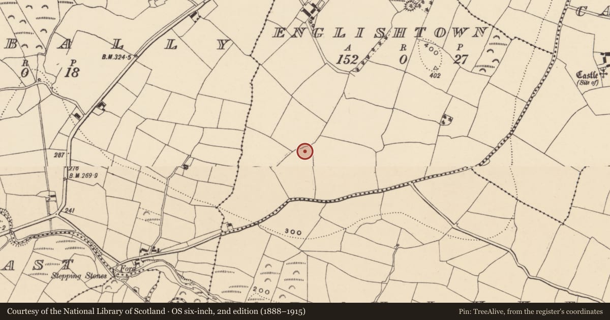 Ordnance Survey six-inch map, 2nd edition (1888–1915) covering the location of Church, Englishtown, County Waterford, with a pin at the register's coordinates