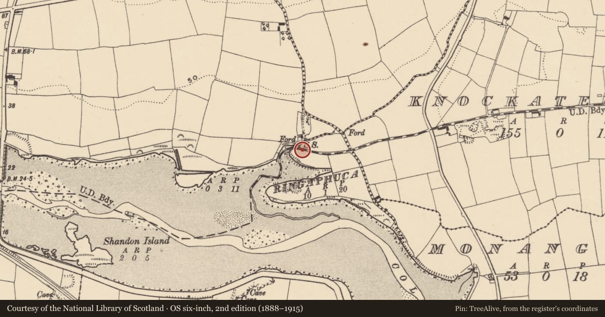 Ordnance Survey six-inch map, 2nd edition (1888–1915) covering the location of Burial ground, Ringaphuca, County Waterford, with a pin at the register's coordinates