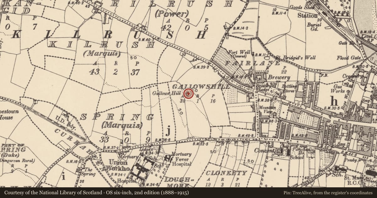Ordnance Survey six-inch map, 2nd edition (1888–1915) covering the location of Castle - motte, Gallowshill (Decies without Drum By., Kilrush Par.), County Waterford, with a pin at the register's coordinates