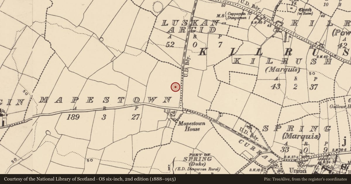 Ordnance Survey six-inch map, 2nd edition (1888–1915) covering the location of Standing stone, Mapestown, County Waterford, with a pin at the register's coordinates
