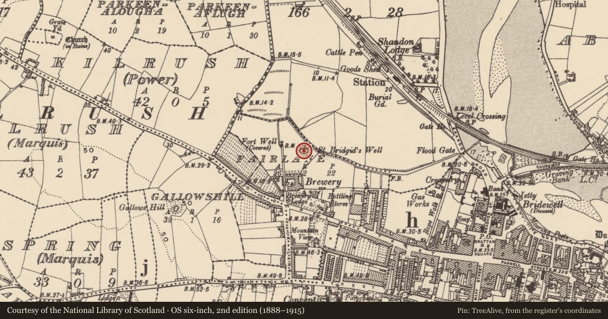 Ordnance Survey six-inch map, 2nd edition (1888–1915) covering the location of Ritual site - holy well, Fairlane (Decies without Drum By., Dungarvan Par.), County Waterford, with a pin at the register's coordinates