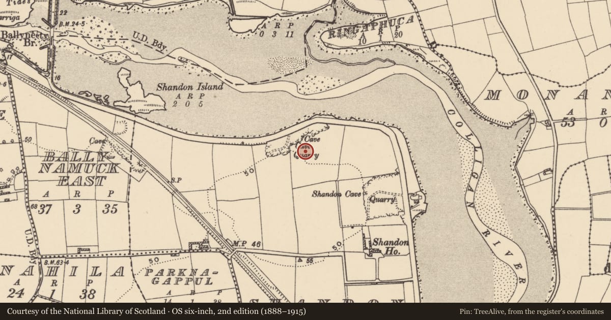 Ordnance Survey six-inch map, 2nd edition (1888–1915) covering the location of Enclosure, Shandon, County Waterford, with a pin at the register's coordinates