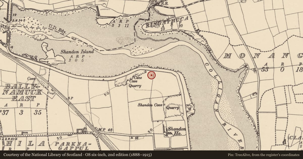 Ordnance Survey six-inch map, 2nd edition (1888–1915) covering the location of Metalworking site, Shandon, County Waterford, with a pin at the register's coordinates