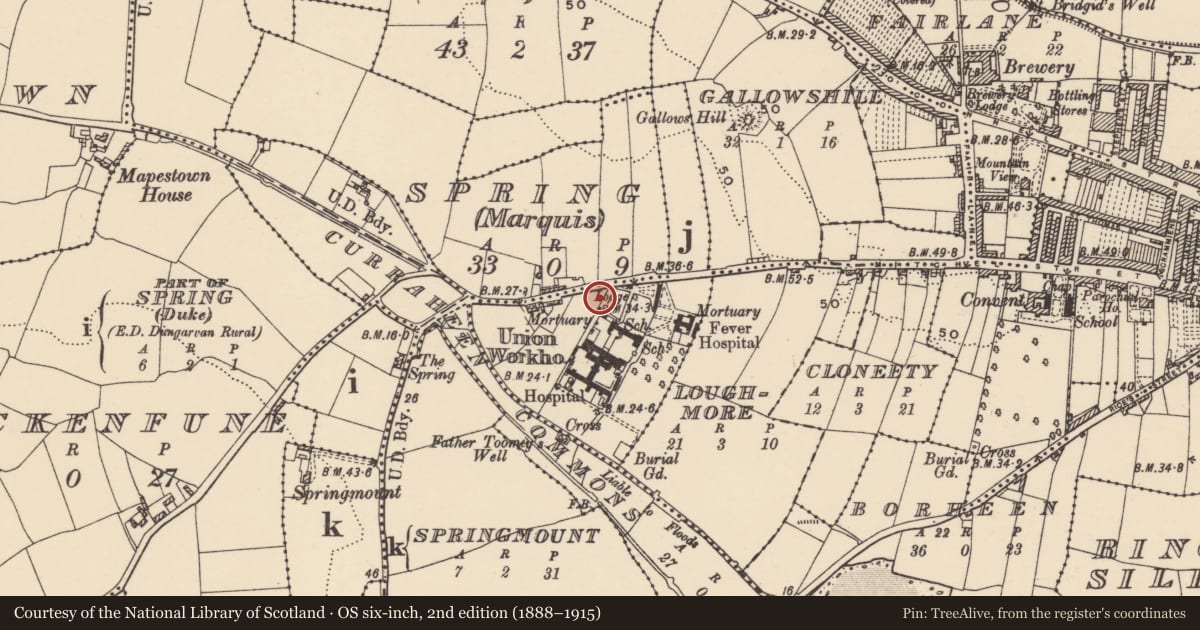 Ordnance Survey six-inch map, 2nd edition (1888–1915) covering the location of Rock scribing - folk art, Spring (Duke), County Waterford, with a pin at the register's coordinates