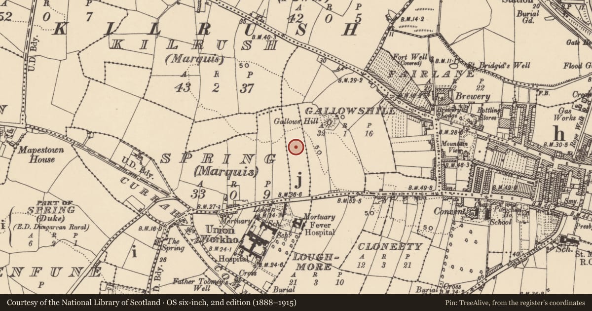 Ordnance Survey six-inch map, 2nd edition (1888–1915) covering the location of Standing stone, Spring (Duke), County Waterford, with a pin at the register's coordinates