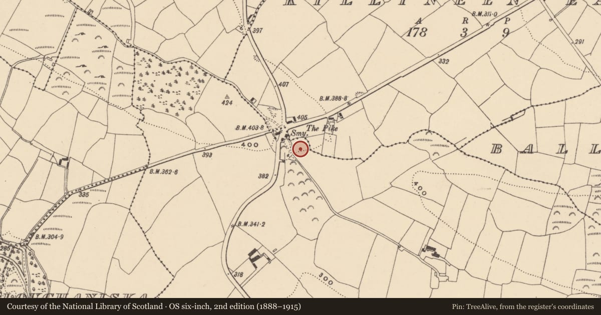 Ordnance Survey six-inch map, 2nd edition (1888–1915) covering the location of Enclosure, Garranbaun, County Waterford, with a pin at the register's coordinates