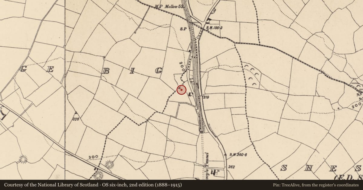 Ordnance Survey six-inch map, 2nd edition (1888–1915) covering the location of Earthwork, Ballyvoyle, County Waterford, with a pin at the register's coordinates
