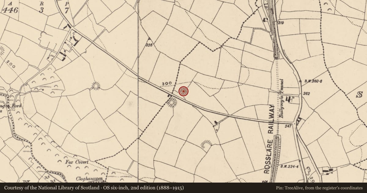 Ordnance Survey six-inch map, 2nd edition (1888–1915) covering the location of Ringfort - rath, Ballyvoyle, County Waterford, with a pin at the register's coordinates